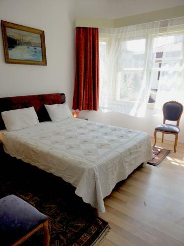 Hotel Villa Tulipan