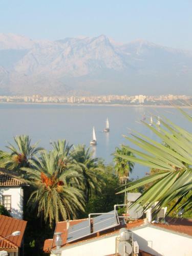 Hotel Villa Tulipan