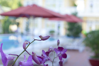 Hotel Lam Ha Resort