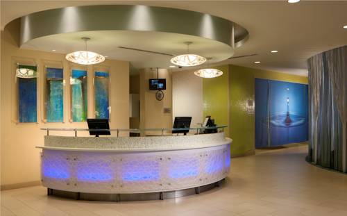 Hotel Springhill Suites By Marriott Orlando At Seaworld