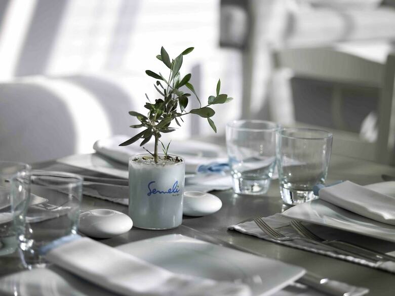 Hotel Semeli