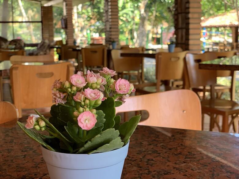 Hotel S�o Sebasti�o Da Praia