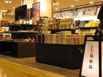 Hotel Hakone Yumoto Onsen Tenseien