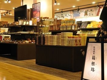 Hotel Hakone Yumoto Onsen Tenseien