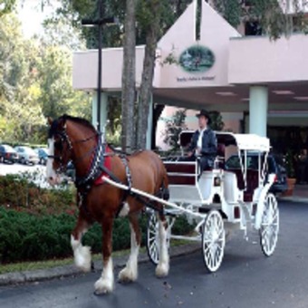 Hotel Hilton Ocala