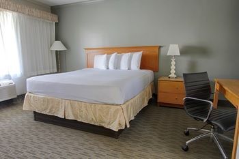 Hostal The Sherman Hotel