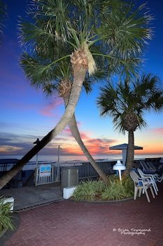 Motel Palmetto Inn & Suites