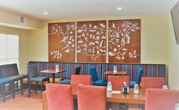 Hotel Towneplace Suites By Marriott Sioux Falls