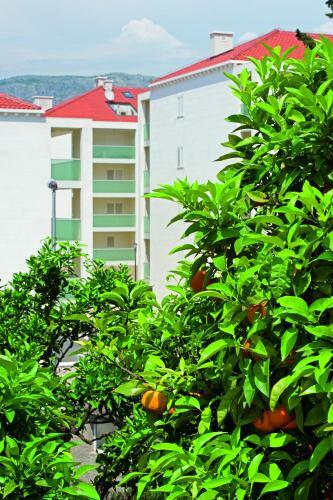 Apartamento Dubrovnik Luxury Residence-l`orangerie