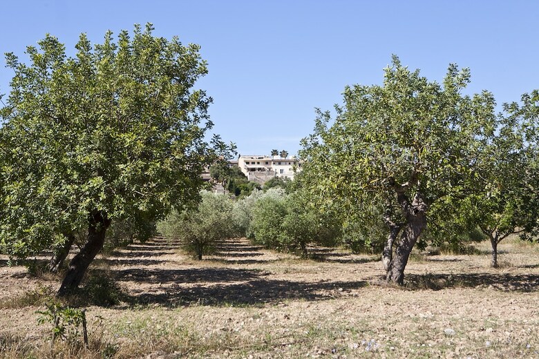 Hotel S'hort De Son Caulelles - Adults Only