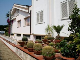 Hotel Leucosya