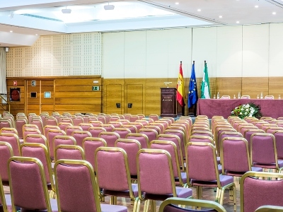 Hotel TRH Alcora (junior Suite)