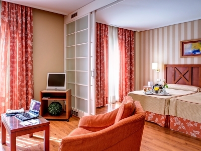 Hotel TRH Alcora (junior Suite)