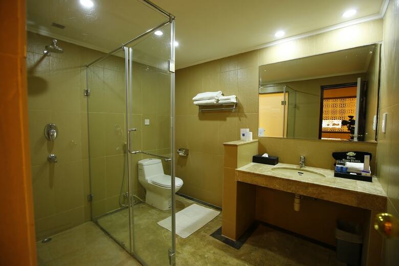 Hotel Royal Singi