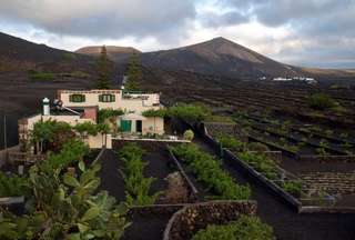 Villa In Geria, Lanzarote 101633