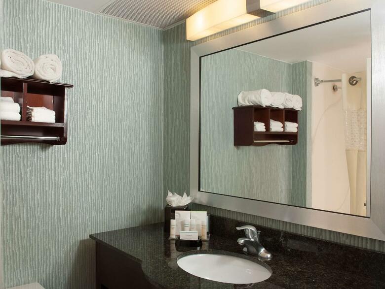 Hotel Hampton Inn Atlanta North Druid Hills