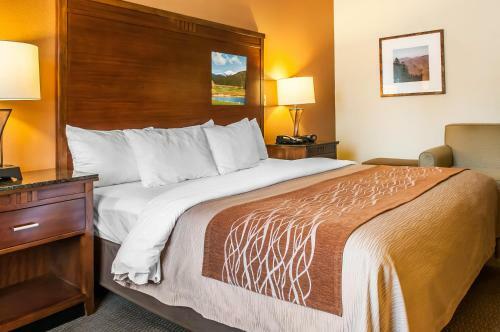 Hotel Comfort Inn Midtown (ruidoso)
