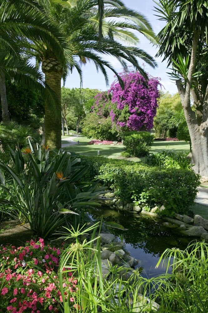Hotel The Oasis By Don Carlos Resort