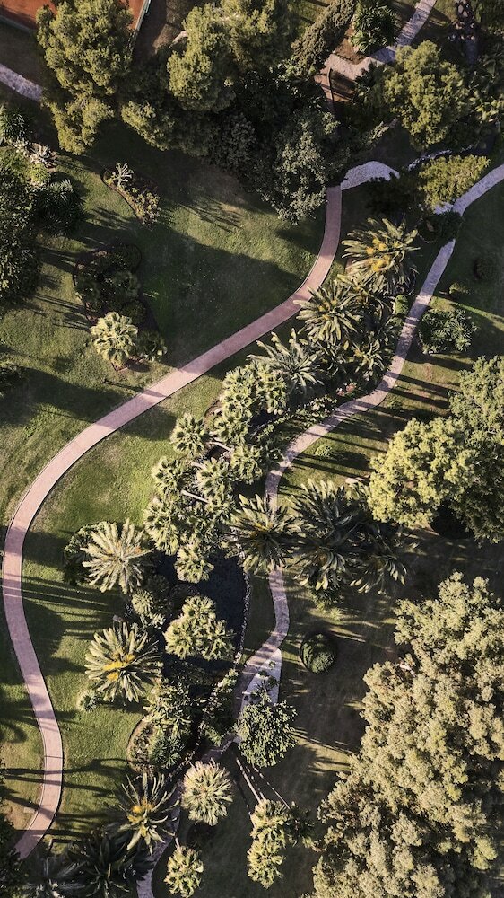 Hotel The Oasis By Don Carlos Resort