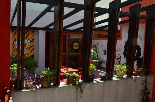 Hostal Turning Point Hostel