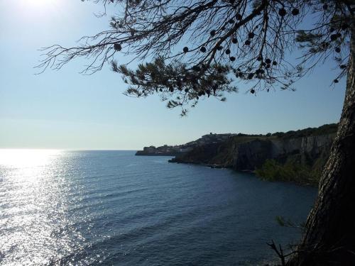 Apartamento Tramuntana
