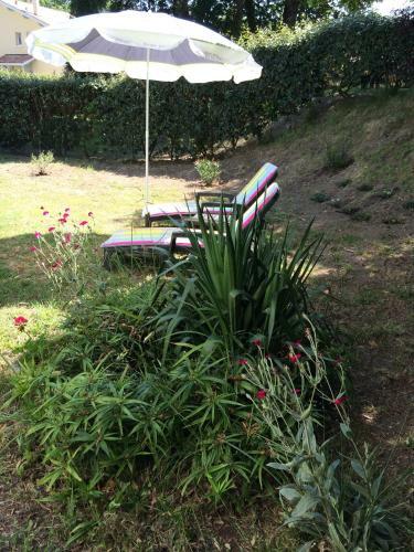 Apartamentos T2 Avec Grand Jardin Clos