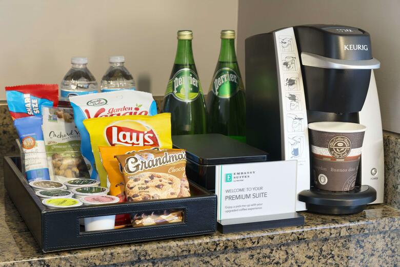 Hotel Embassy Suites Atlanta - At Centennial Olympic Park