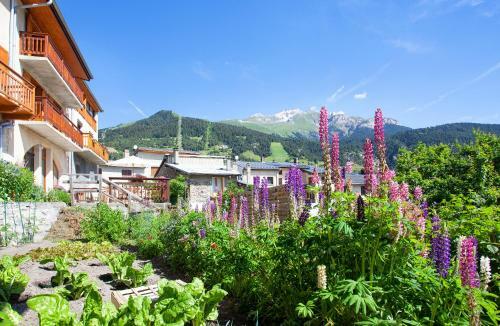 Bed & Breakfast La Roche Du Croue