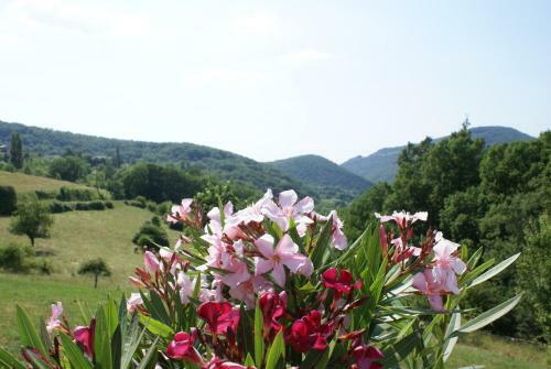 Bed & Breakfast Chambre D'h�tes Le Saint Maurice