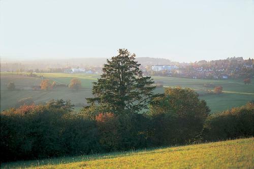 M�hringers Schwarzwald Hotel