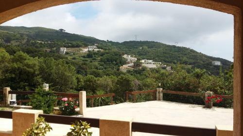 Bas De Villa Chez Mr.girolami Dominique