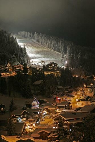 Apartamento Demi-chalet Le Bief --prox Pistes