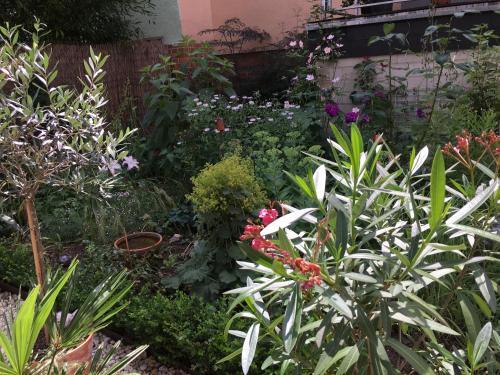 Apartamento Ferienwohnung Buddestrasse