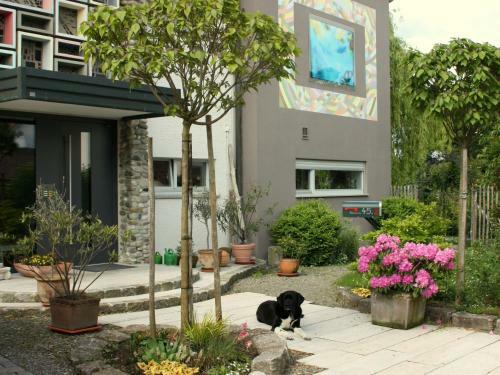 Apartamento Ferienwohnungen Pano
