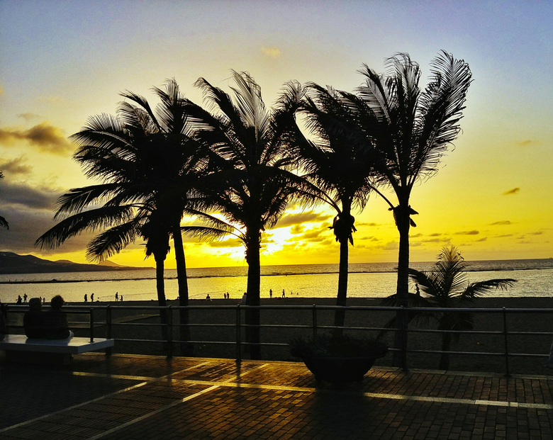 Apartamentos Brisamar Canteras