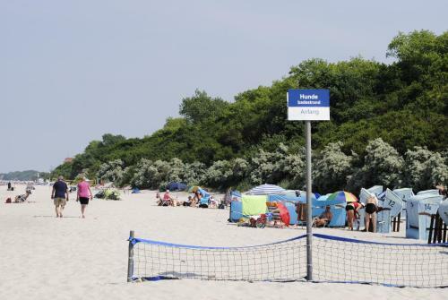 Apartamento Ferienwohnung Schwalbennest Am Meer