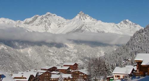 Apartamento Duplex 6/8 Pers Au Pied Des Pistes
