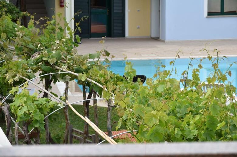 Hotel Ariadimari