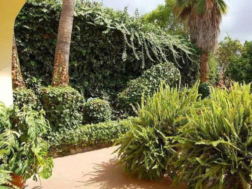 Holiday Home Villa La Serenidad