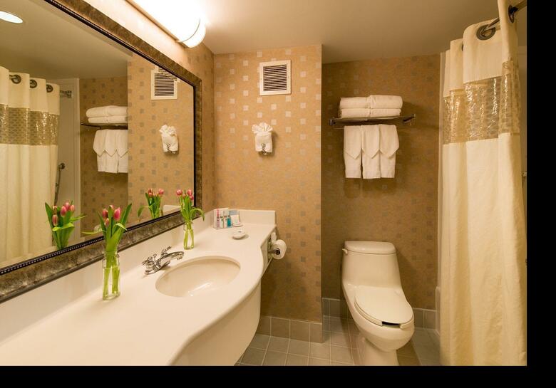 Hotel Hampton Inn & Suites Boston Crosstown Center