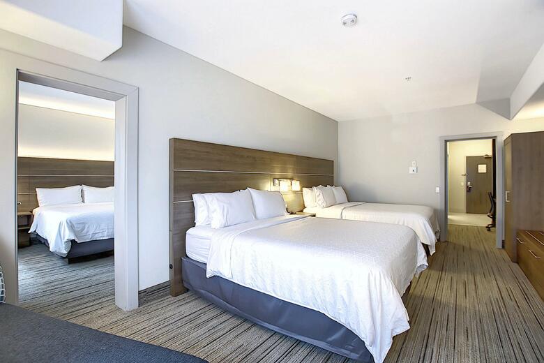 Hotel Holiday Inn Express Airport-calgary
