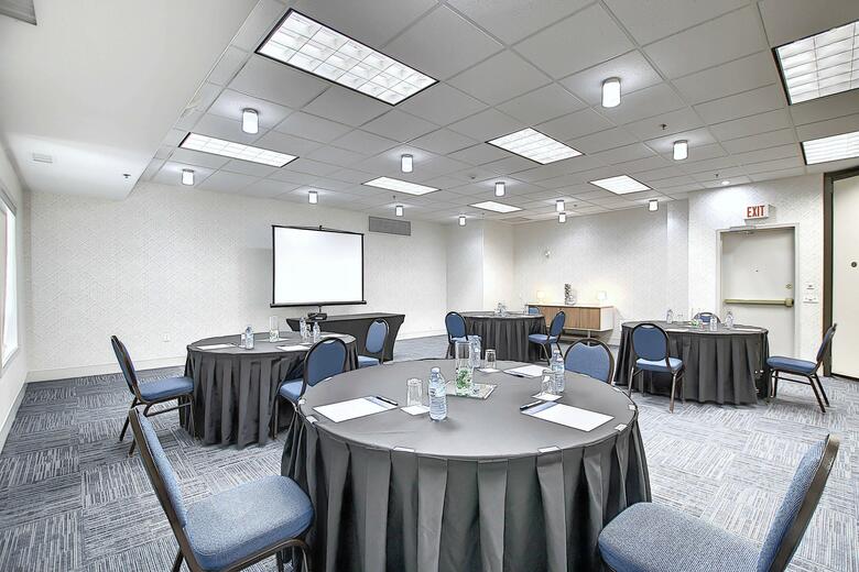 Hotel Holiday Inn Express Airport-calgary