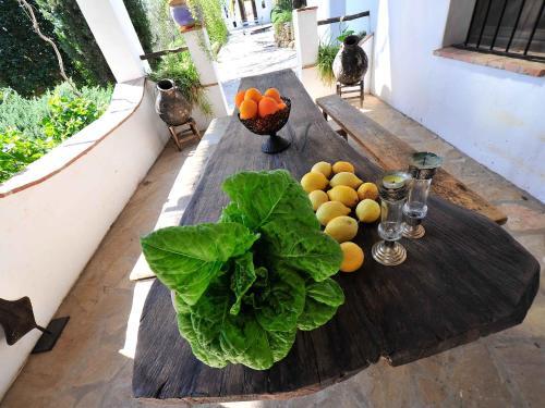 Agroturismo Holiday Home Manodiana