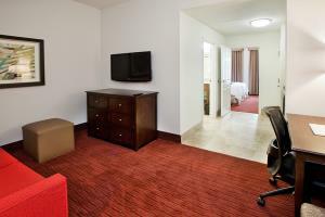 Hotel Hampton Inn & Suites Atlanta-downtown