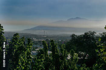 Hotel Best Western Go Inn