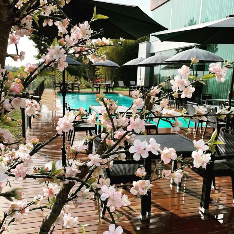 Penafiel Park Hotel & Spa