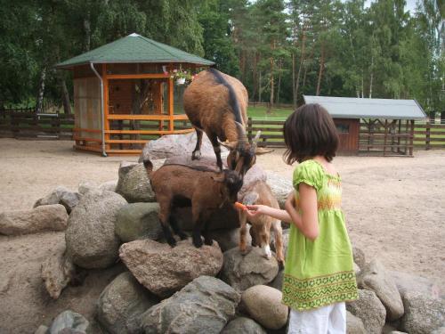 Ferienpark Heidenholz