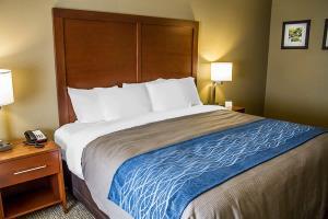 Hotel Comfort Inn