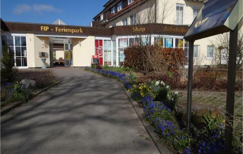 Apartment Gollwitz M