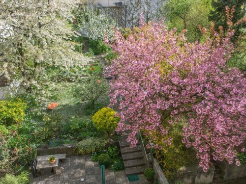 Apartamento Ferienwohnung Familie Waldeck